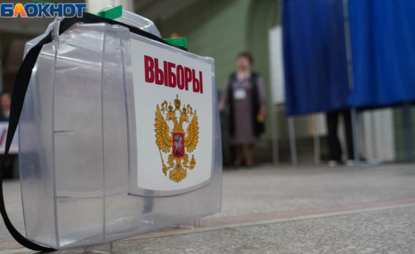 Оглашен приговор облившей урну зеленкой на президентских выборах под Волгоградом