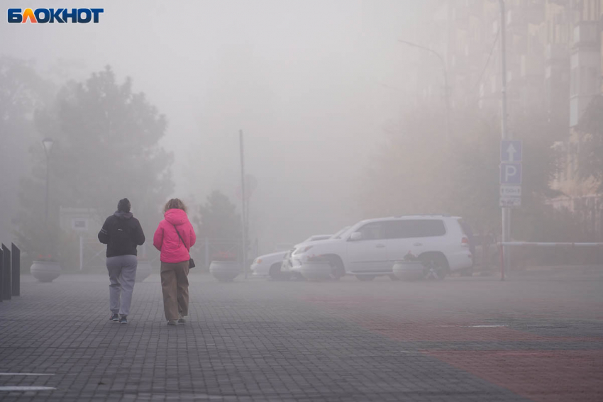 Опасное явление укутало Волгоград и область на три дня
