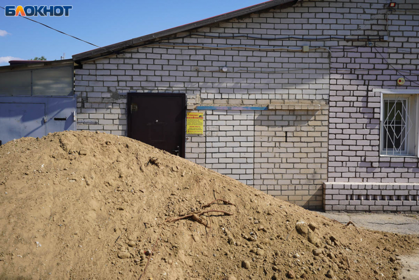 «Ему просто плевать!»: земляной диверсант атакует известную ветклинику в Волгограде