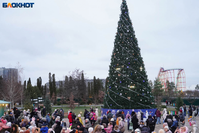 Снег, гололед и слабый мороз: погода в Волгограде на 27 декабря