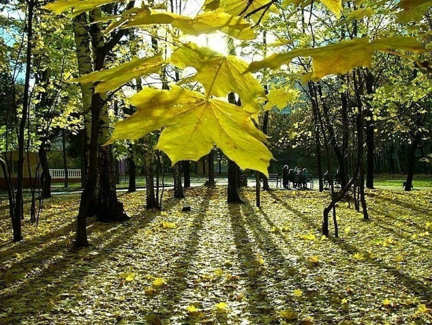 В Волгограде теплая погода продержится до середины ноября