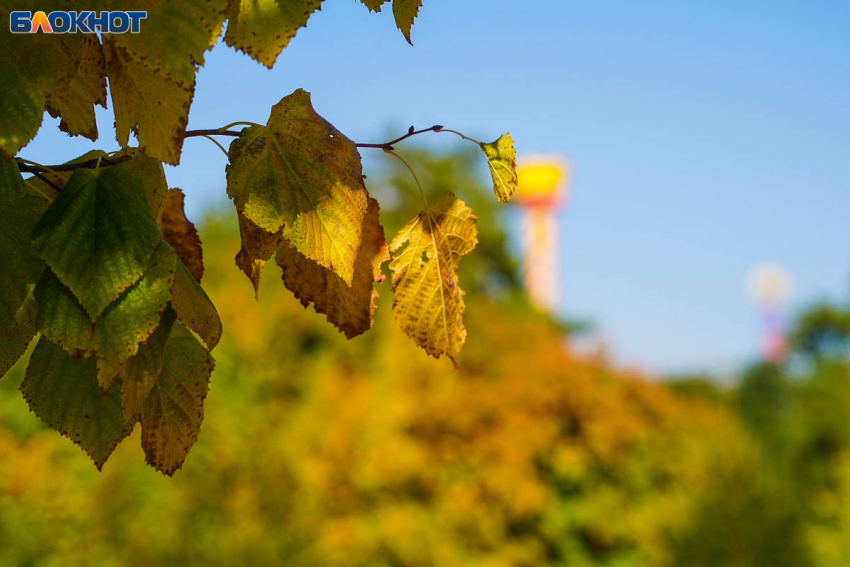 Почему из Волгограда не уходит аномальный «плюс»: синоптики