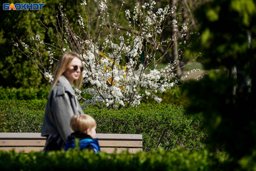 До апрельских +18 резко потеплеет в Волгограде