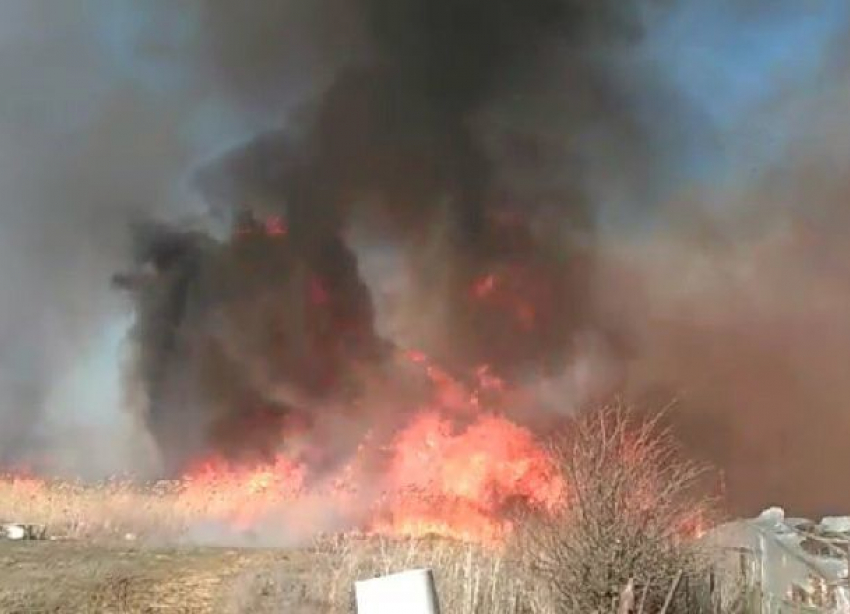 Страшный пожар высотой в несколько метров у жилых домов попал на видео под Волгоградом
