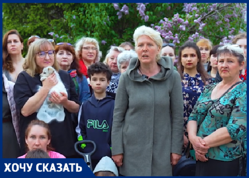 Волгоградцы попросили Александра Бастрыкина остановить убийство бездомных собак