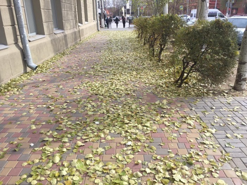 Сильный ветер и никакого снега: зима в Волгограде пока не удалась