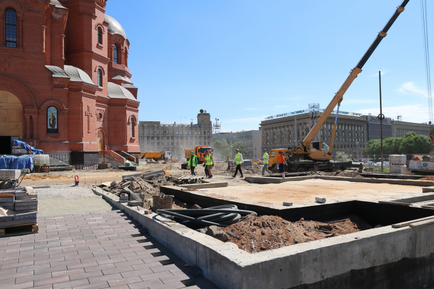 4-метровые клены и сосны высадят на пешеходной зоне на улице Мира в Волгограде