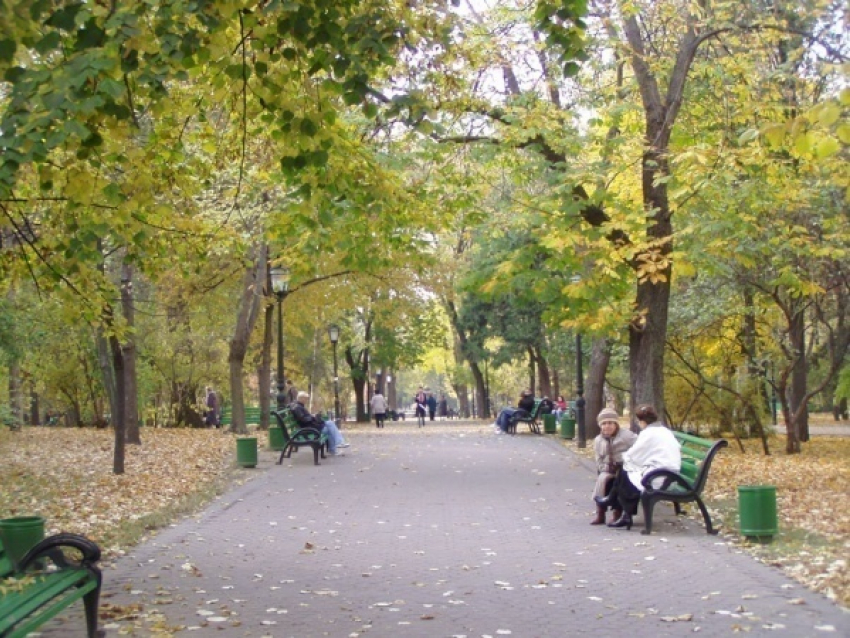 Волгоградские парки сделают уникальными