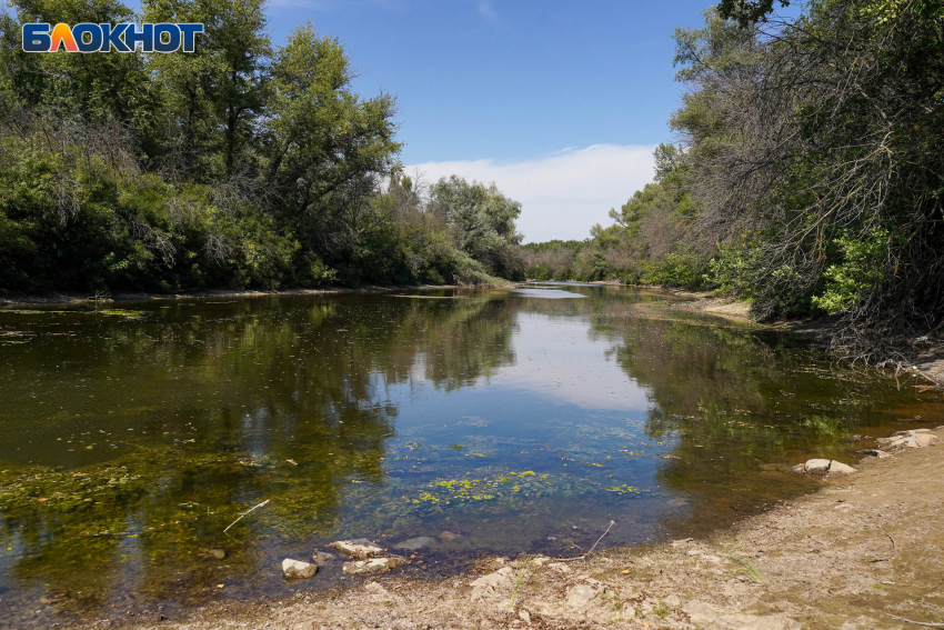 Какую погоду принесет последний день лета в Волгоградской области