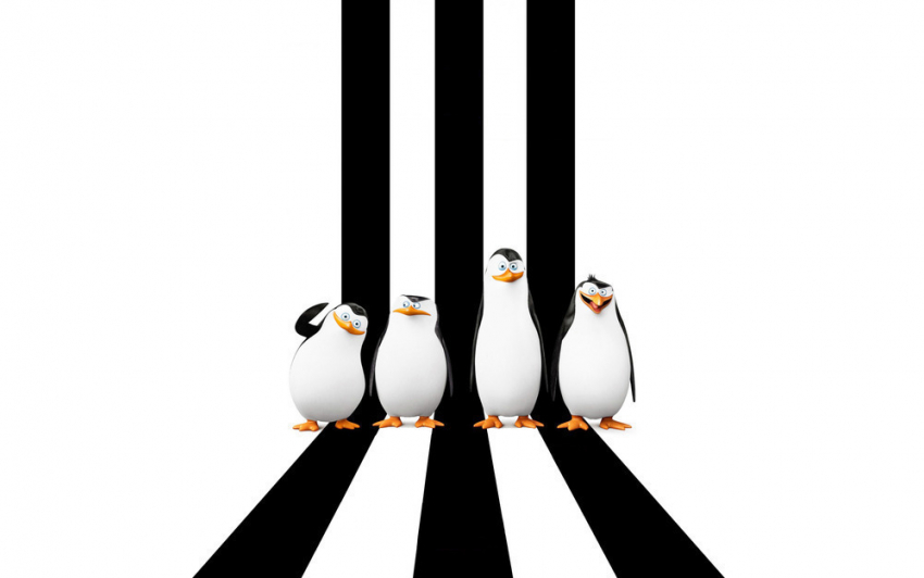 «Пингвины Мадагаскара» не собрали в Волгограде ожидаемую аудиторию