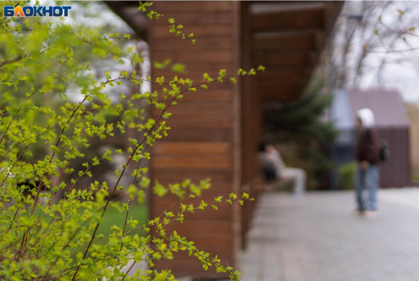 До +9 похолодает в Волгограде при непрекращающемся дожде