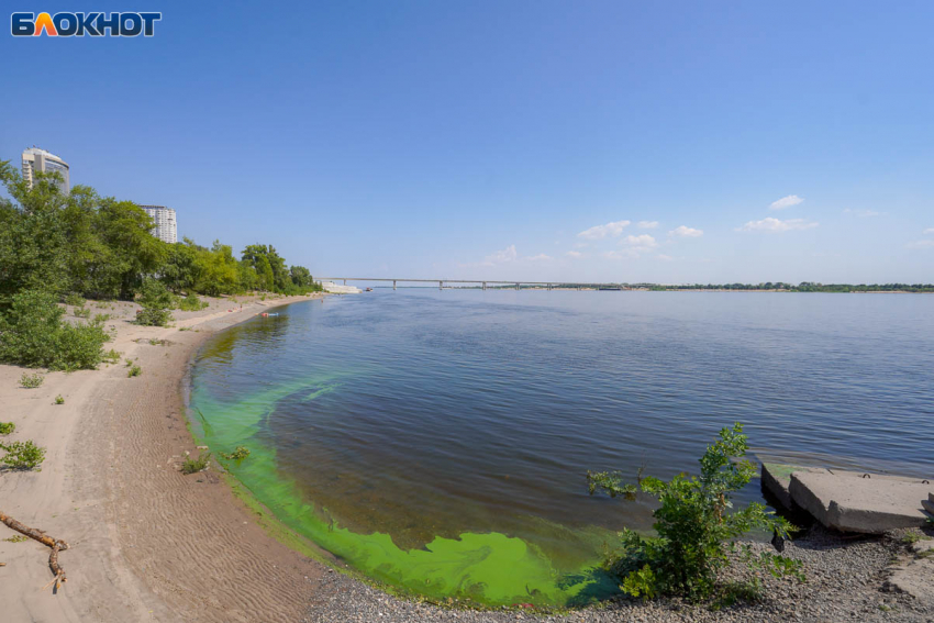 Волгоград накрыла очередная волна фейков о холере в воде