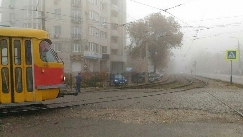 На смену туману в Волгограде придет мороз без снега