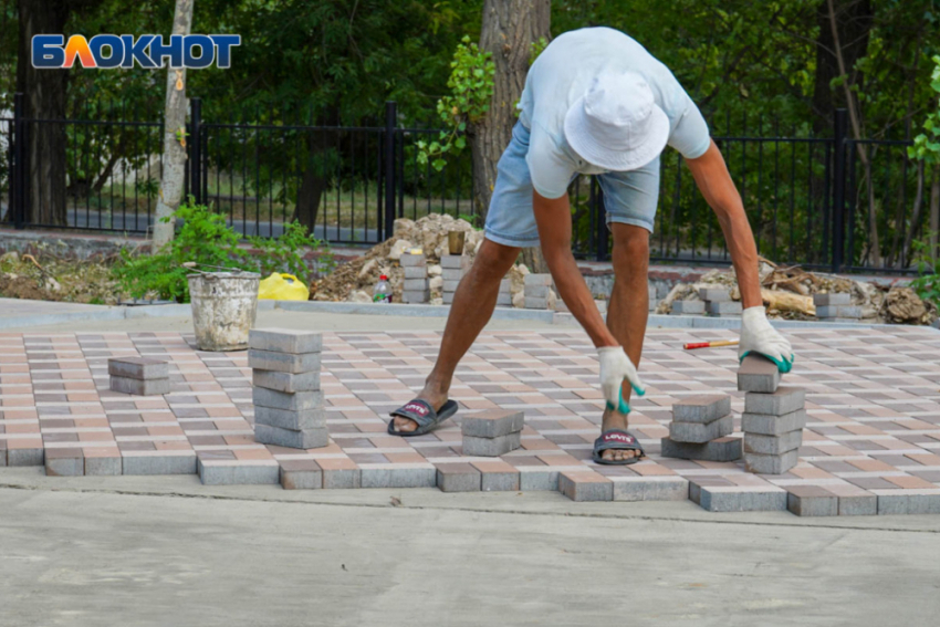В Волгограде начнется суд над компанией, прославившейся миллионными госконтрактами и скандальной вырубкой 