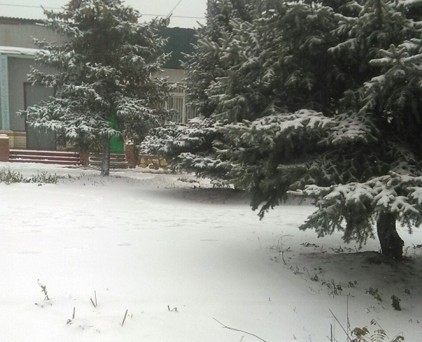 Жители Волгоградской области делятся в социальных сетях фотографиями зимы