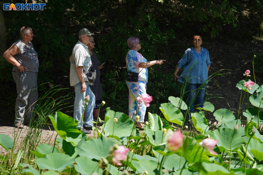 Гигантским наплывом туристов похвасталась Волгоградская область 