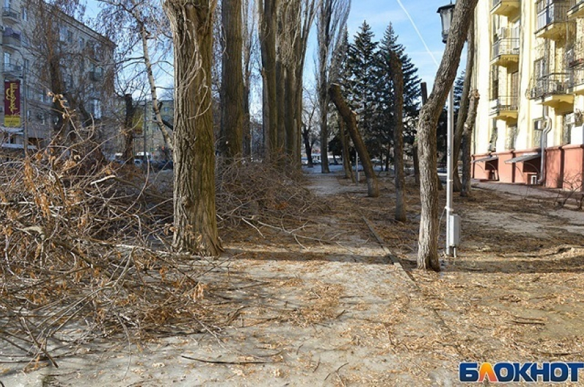 Горы спиленных веток остаются лежать на тротуаре в Волгограде уже неделю