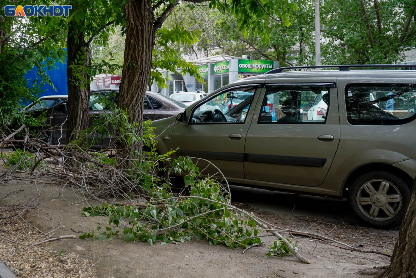 Сильный шторм обрушится в жару на Волгоградскую область