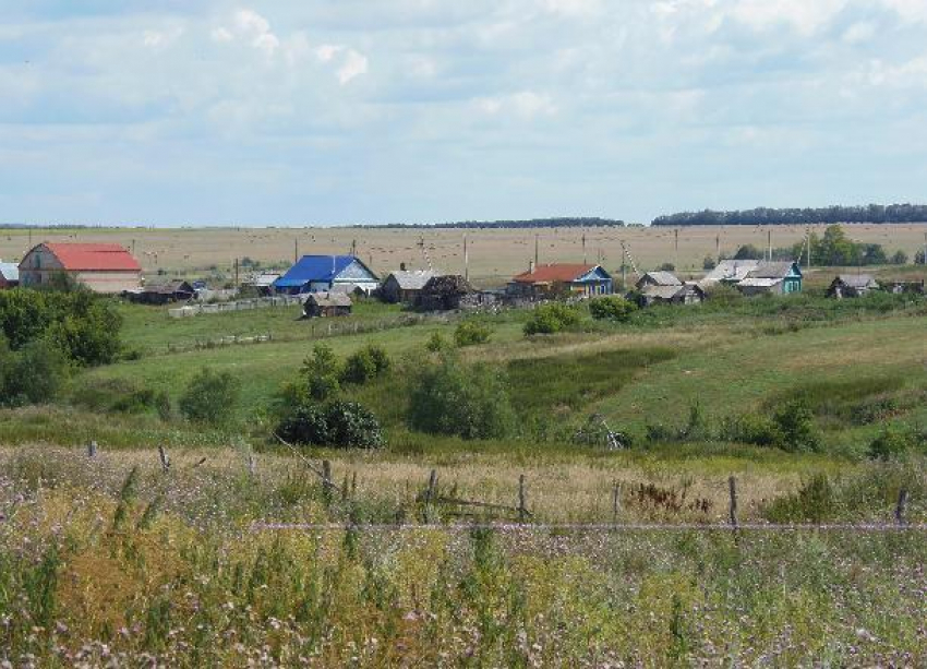 30 млн рублей получат фермеры Волгоградской области, пострадавшие от АЧС 