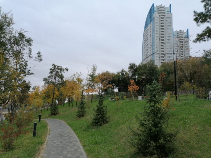 В обновленной общественной палате Волгограда не нашлось места активистам