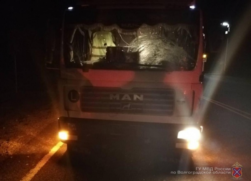 41-летний водитель грузовика переехал пешехода под Волгоградом: мужчина скончался 