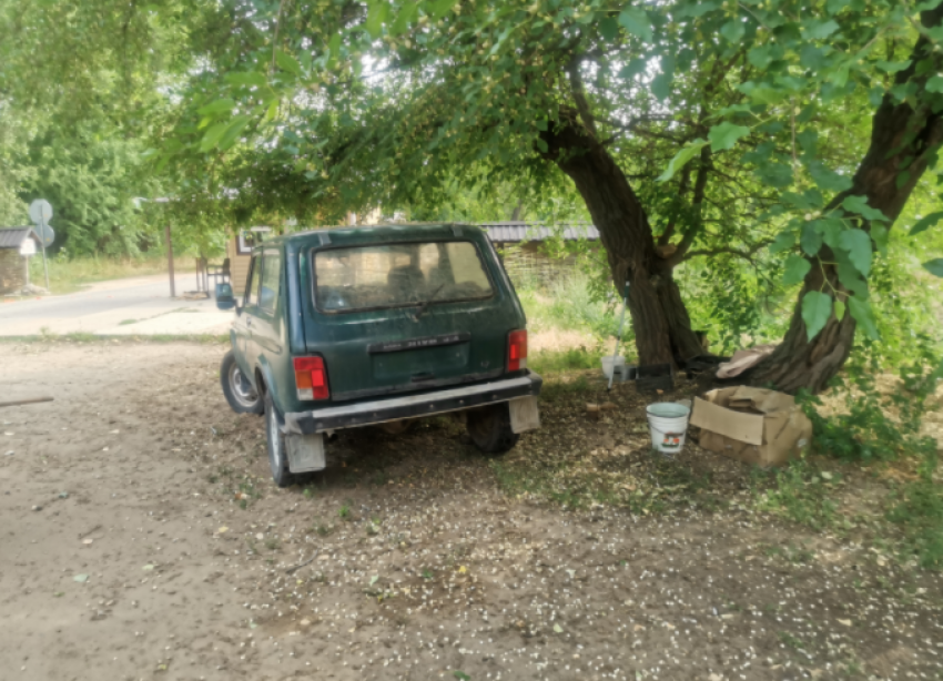 Волгоградские чиновники объяснились за платную стоянку в пойме у ерика Верблюд 