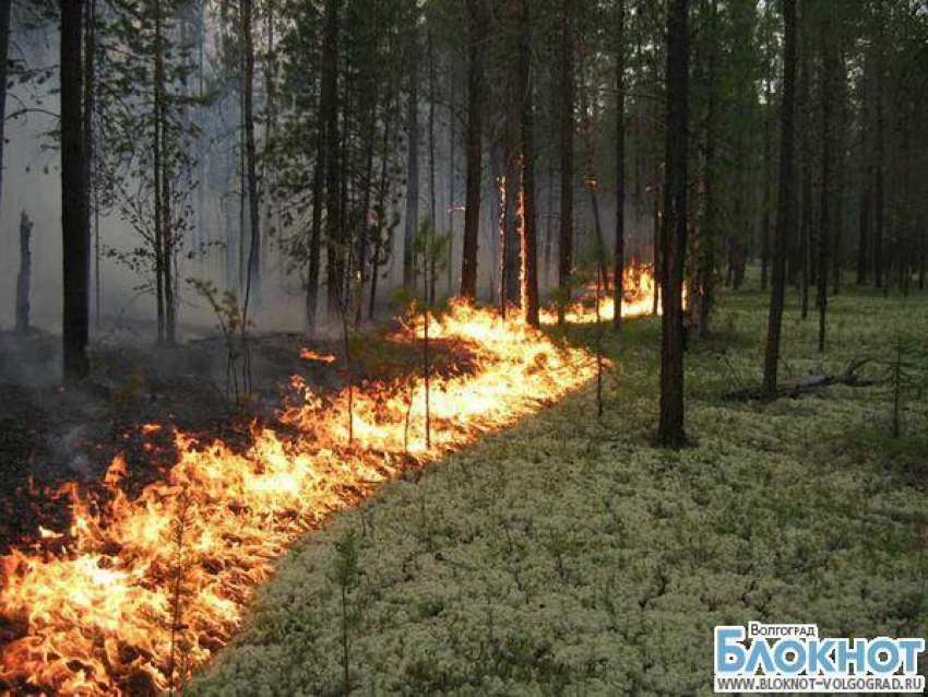 Волгоградская область на грани возгорания