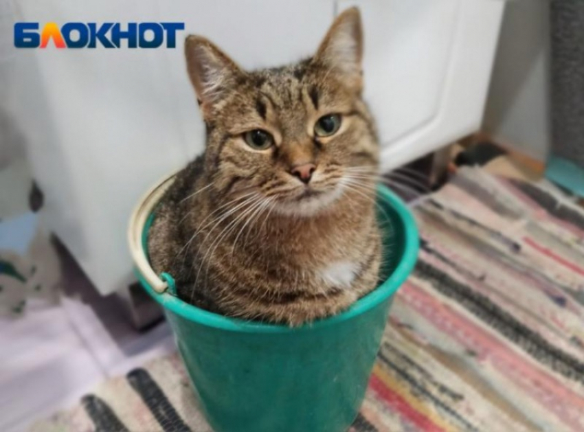 Центру Волгограда перекроют воду из-за ремонта на Привокзальной площади