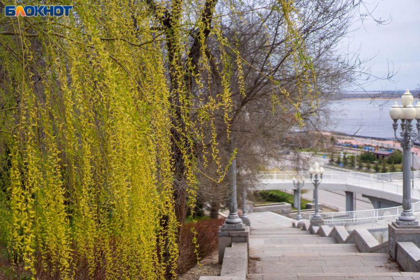 Дожди испортят еще одну неделю апреля волгоградцам: синоптики