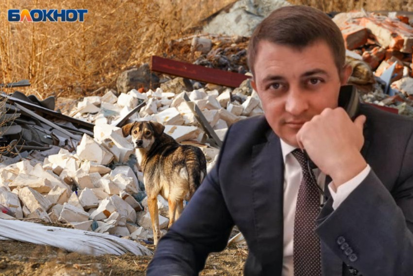 Госдумский борец с «собачьей сектой» заявил об угрозах в свой адрес и потребовал принять меры к зоошизе