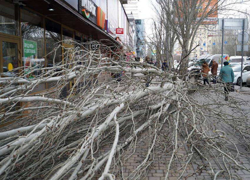 МЧС предупредило о сильном ветре в Волгоградской области