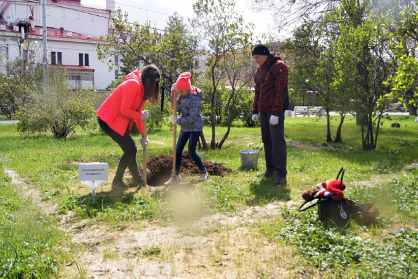 Аллея из ста молодых дубов украсила Комсомольский сад Волгограда