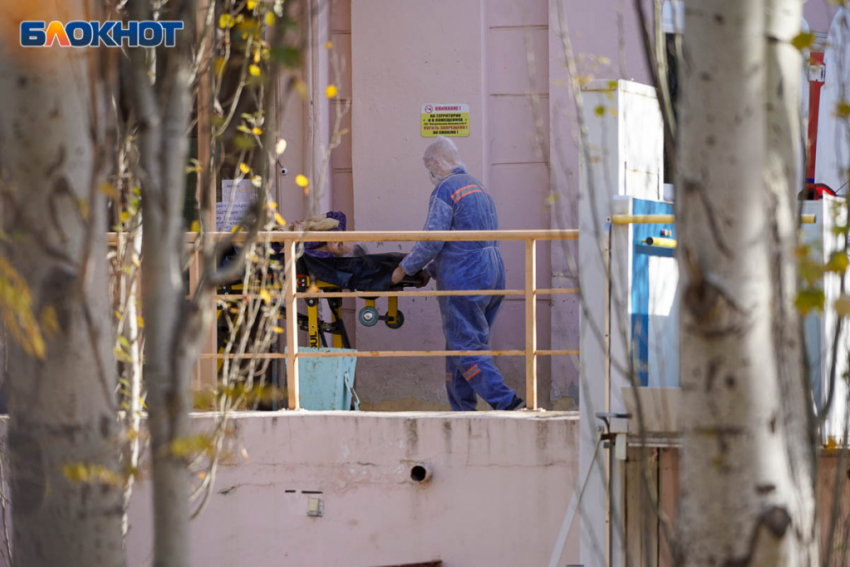 В Волгоградской области нашли заболевших тремя видами вируса