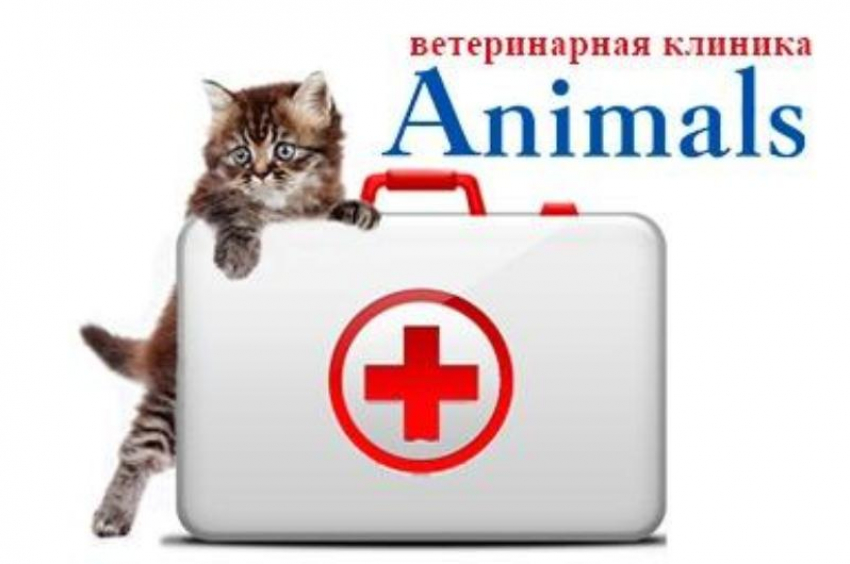Ветеринарная аптека. Большой ассортимент. Заходи в справочник