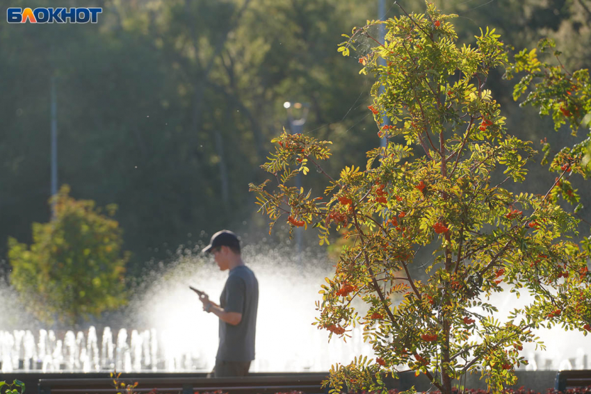 Резкое похолодание и мощный северный ветер накроют Волгоград 25 сентября