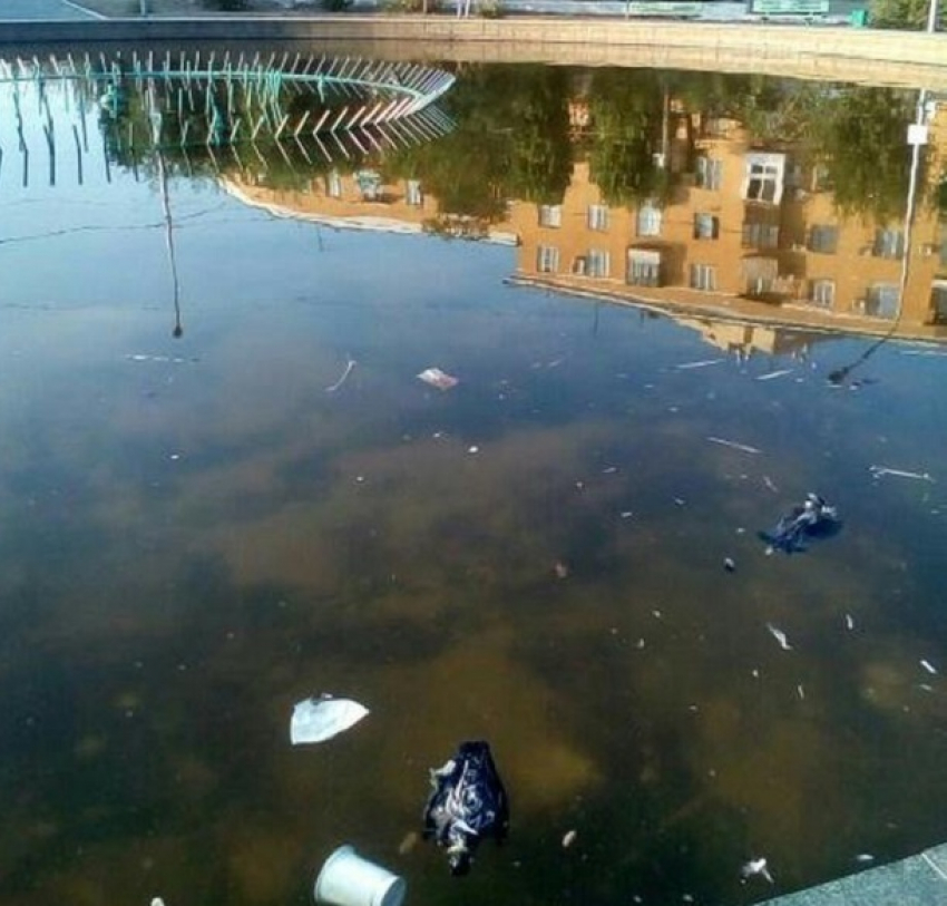 Некогда красивый волгоградский фонтан превратился в болото и мусорку