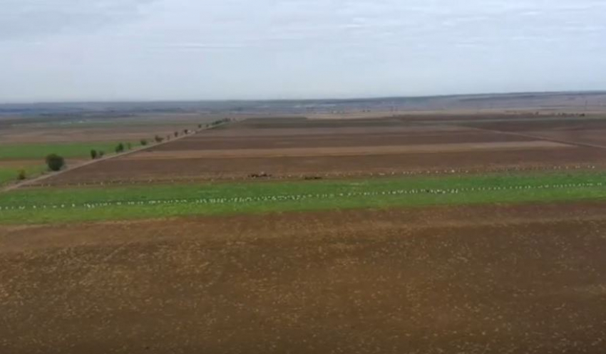 Прятаться бесполезно: БПЛА поднимут в небо под Волгоградом