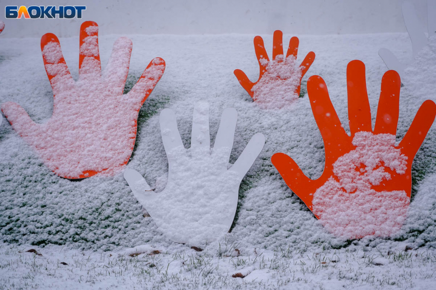 «Приезжайте в гости»: в Волгограде рекордно рухнули цены на жилье для туристов