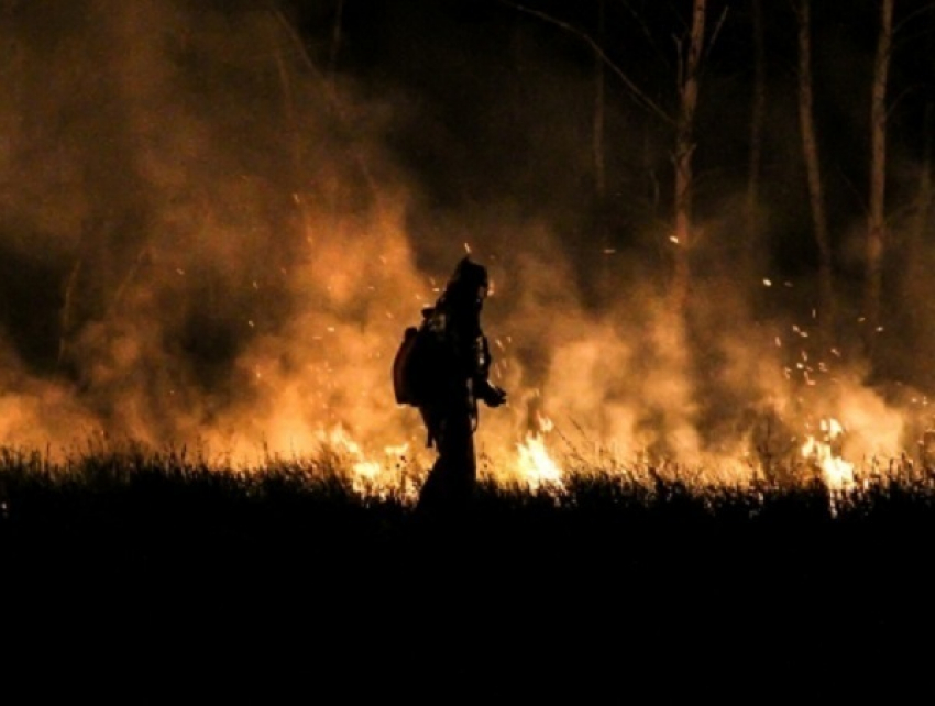 В Волгоградской области введен особый противопожарный режим 