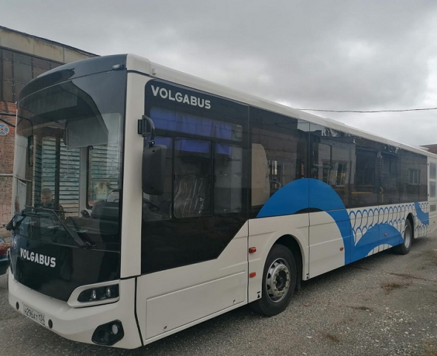 Шестьдесят новых автобусов выйдут на неизвестные маршруты в Волгограде