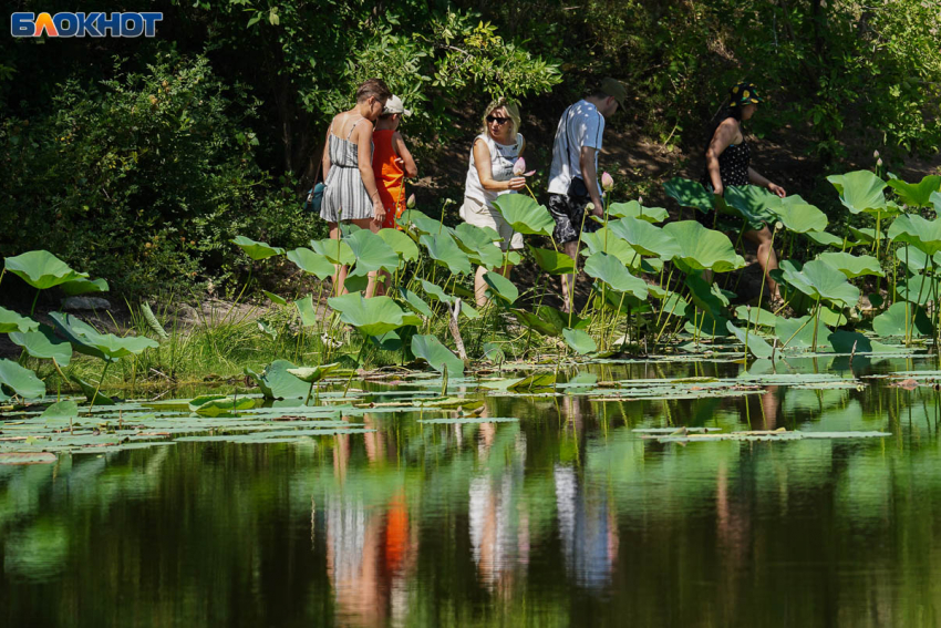 Летнее пекло без осадков и геомагнитная буря: синоптики о погоде в Волгограде