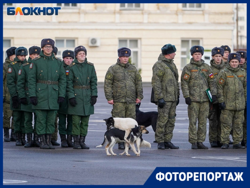 Штурмовали Грозный и дошли до Берлина: военной дивизии в Волгограде вернули историческое название