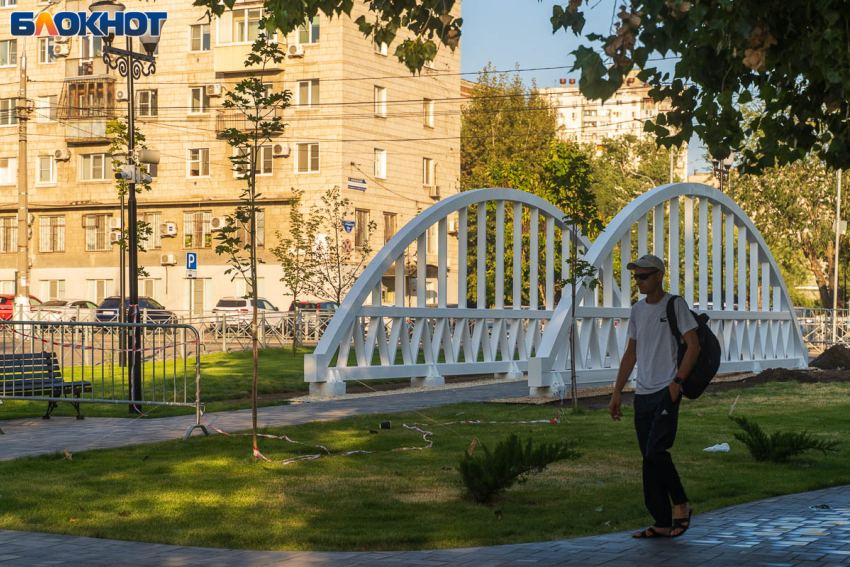 Статус умирающего присвоили жители скверу в центре Волгограда за 114 млн 