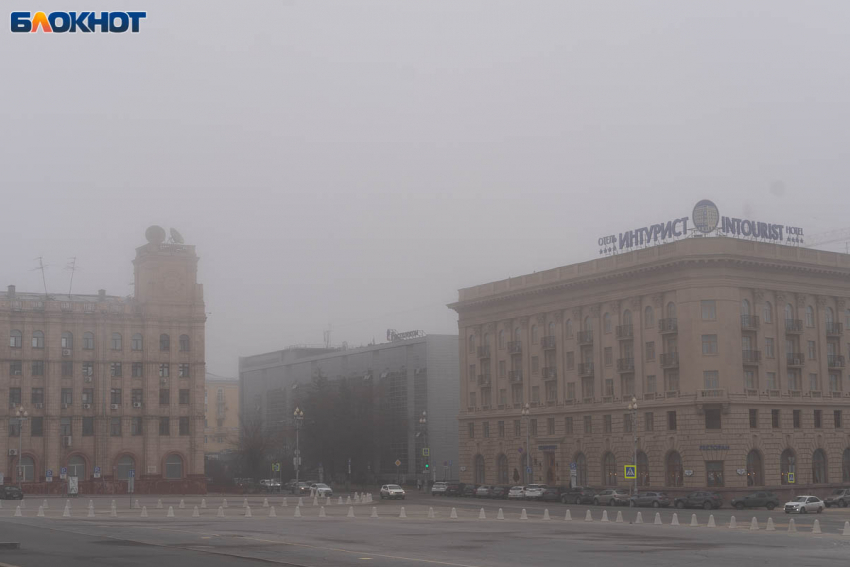 Депутатов в Волгограде признали самыми открытыми для населения 