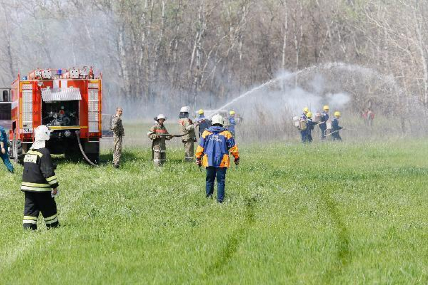 В Волгоградской области школьники и студенты убрали 1,5 тысячи свалок 