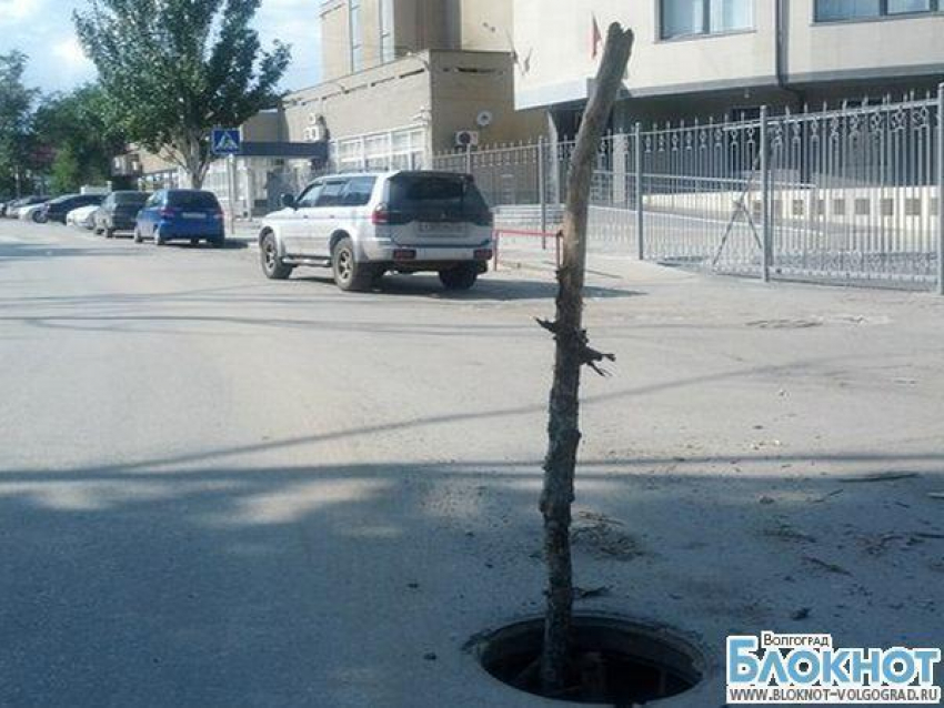 Приставы Волгограда остались без крышки