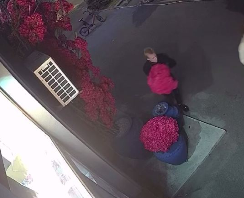 Дерзкого похитителя цветов, прославившегося на видео, ищут в Волгограде