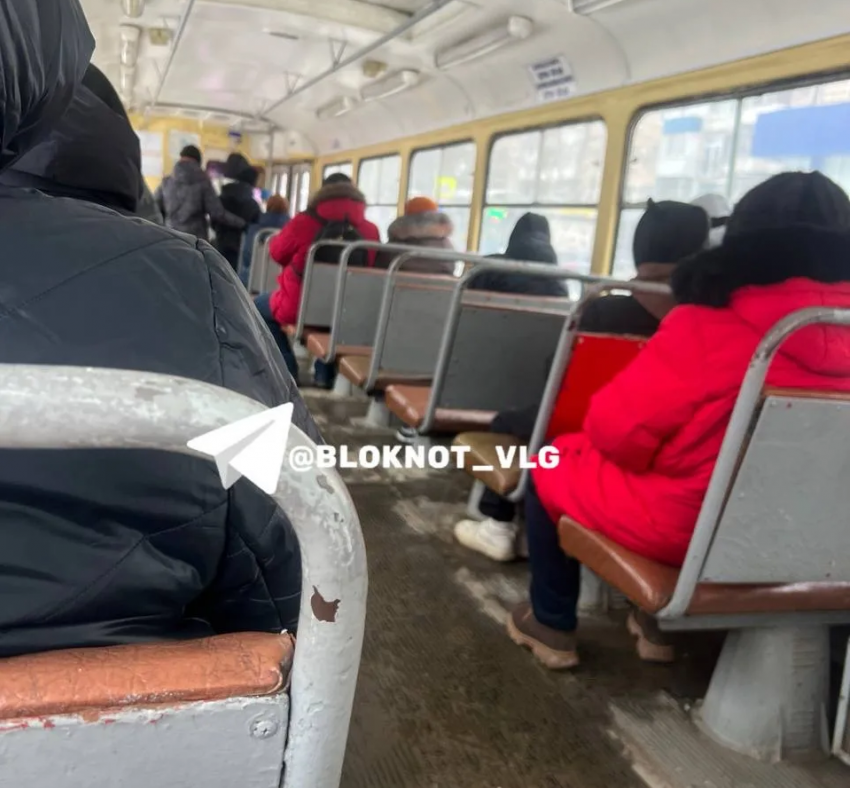 Подростки-халявщики заполонили транспорт Волгограда 