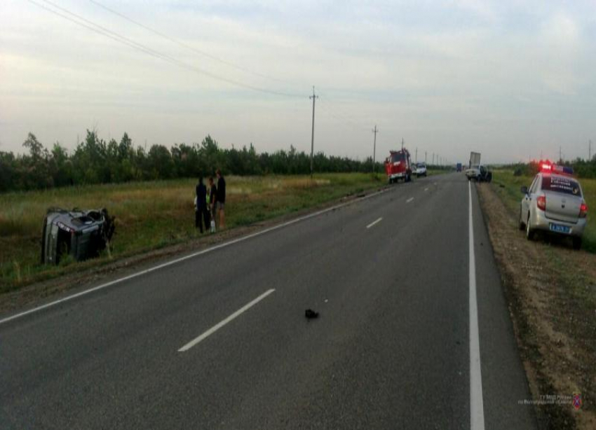 Выбежавший на дорогу под Волгоградом дикий лось спровоцировал страшное ДТП