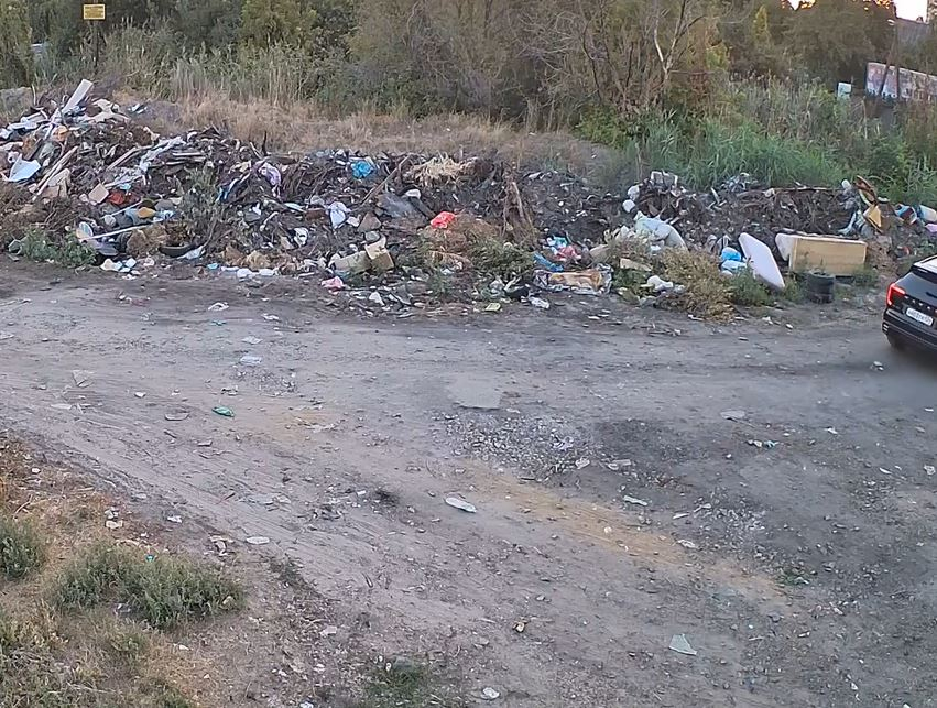 От свалки с мертвой собакой открестилась мэрия Волгограда 
